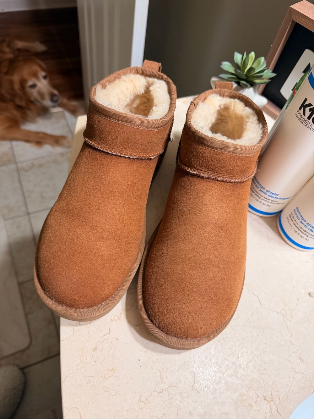 Women’s Ultra Mini Ugg